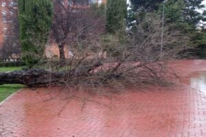 El Ayuntamiento de Coslada, a través del área de Parques y Jardines, Seguridad, Protección civil y Emergencias, ha activado medidas preventivas de seguridad. Entre otras medidas, se ha procedido ya al cierre de varios parques y espacios públicos del municipio como consecuencia del episodio de fuertes rachas de viento, en el marco de la alerta amarilla decretada por la Agencia Estatal de Meteorología (AEMET) y comunicada a la ciudadanía a través de los distintos canales municipales.