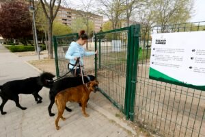 La Policía Local de Coslada desarrolla una campaña de vigilancia y control en la vía pública de animales domésticos