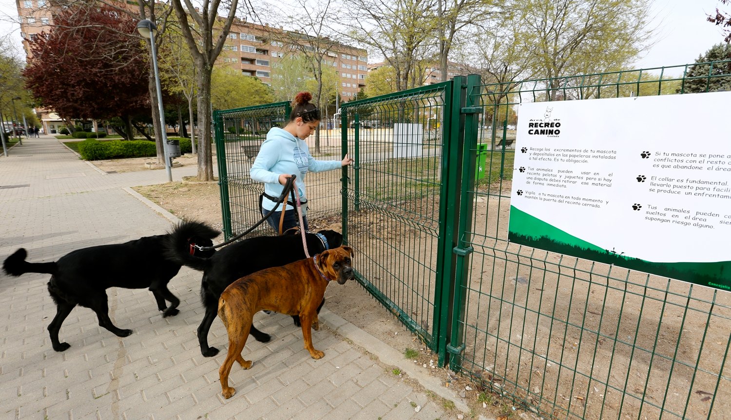 La Policía Local de Coslada desarrolla una campaña de vigilancia y control en la vía pública de animales domésticos