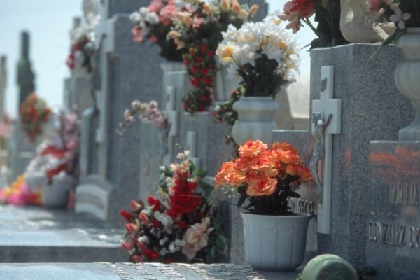Coslada establece un horario especial del cementerio y refuerza la línea 2 de autobús con motivo de Todos los Santos